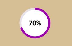 CSS Percentage Circle