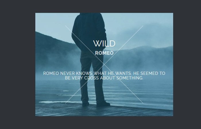 Cool Image Hover Effects with CSS