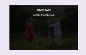 Fade in Overlay on Image Hover