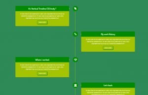 CSS Timeline: Build Vertical Timeline with CSS