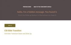 Pure CSS Transition Slide Down & Slide up Effect