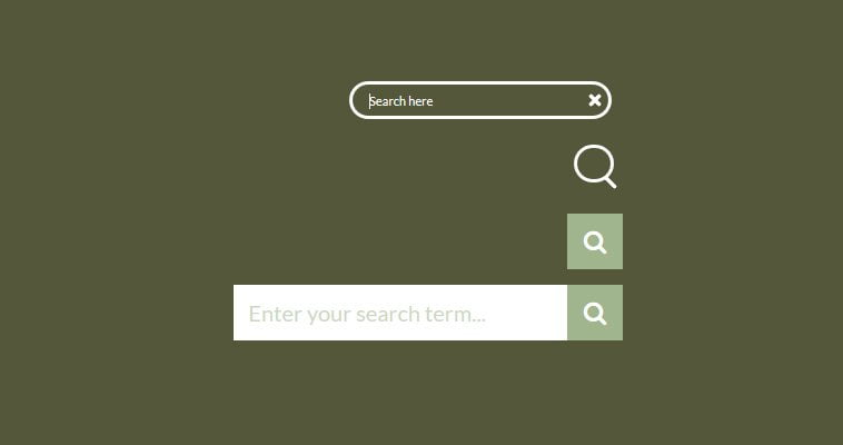 Expanding Search Bar with jQuery & CSS Transitions
