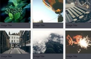 Grid CSS Image Gallery With Captions