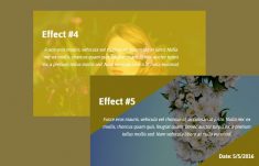 HTML/CSS Image Hover Effects