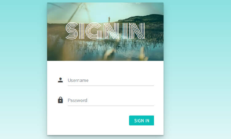 SignIn Page with Username and Password