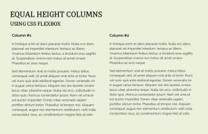 How to Make Equal Height Columns using CSS Flexbox