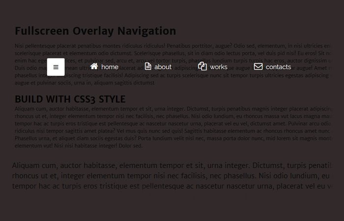 Create Fullscreen Navigation Overlay Style Menu