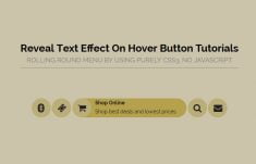 Reveal Effect: Show Text on Hover Button or Icon