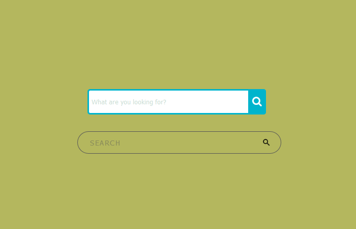 CSS Search Box With Icon Inside - Codeconvey