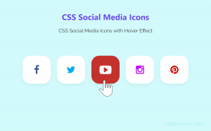 CSS Social Media Icons with Hover Effect
