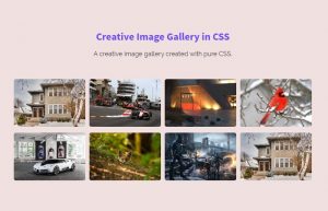 Creative Image Gallery in CSS and HTML