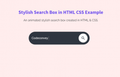Stylish Search Box in HTML CSS Code