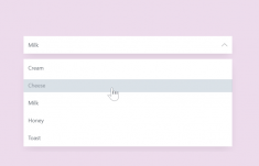Custom Select Dropdown using CSS Only