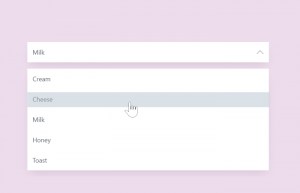 Custom Select Dropdown using CSS Only
