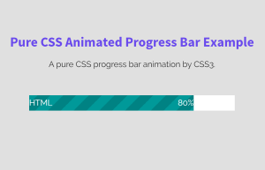 Pure CSS Progress Bar Animation by CSS3