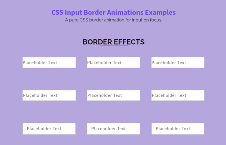 CSS Input Border Animation on Focus