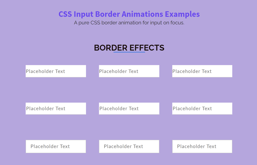 CSS Input Border Animation on Focus