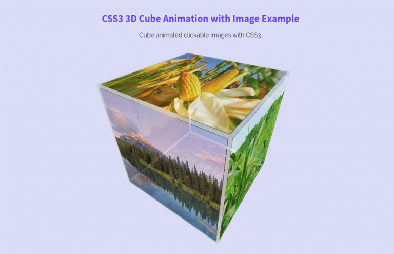 CSS3 3D Cube Animation with Image