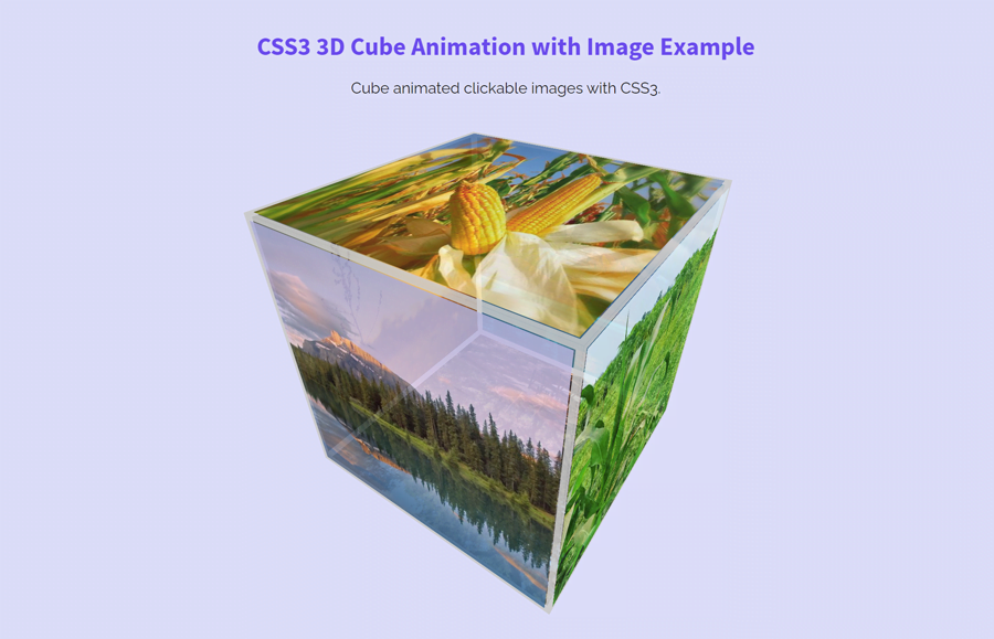 Download Css3 3d Cube Animation With Image Codeconvey