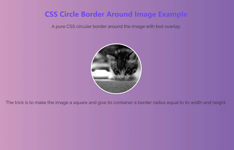 CSS Circle Border Around Image
