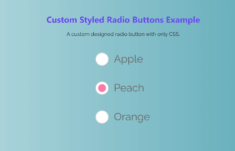 Styling a Radio Button with only CSS