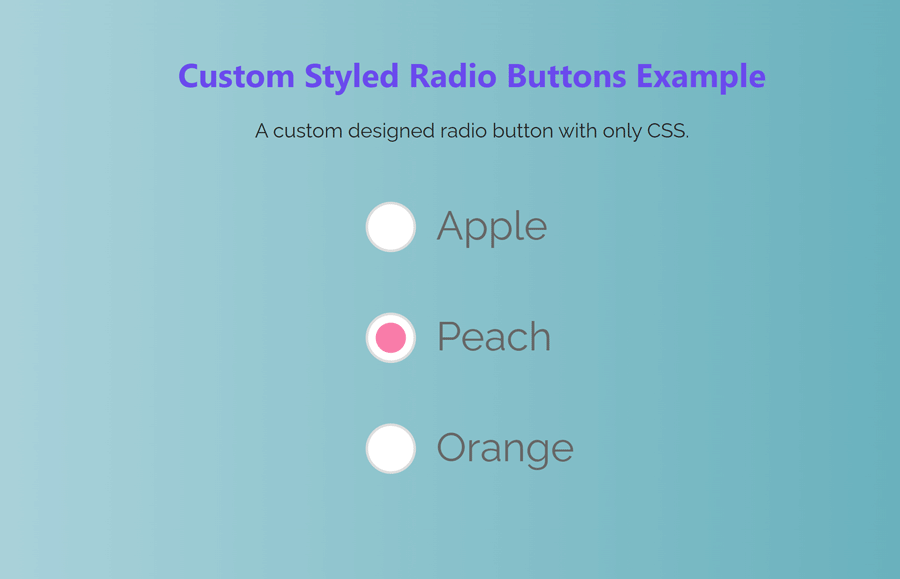 Styling A Radio Button With Only CSS Codeconvey