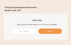 CSS Squarespace Newsletter Button