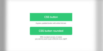 How to Make Button Round Using in CSS & HTML